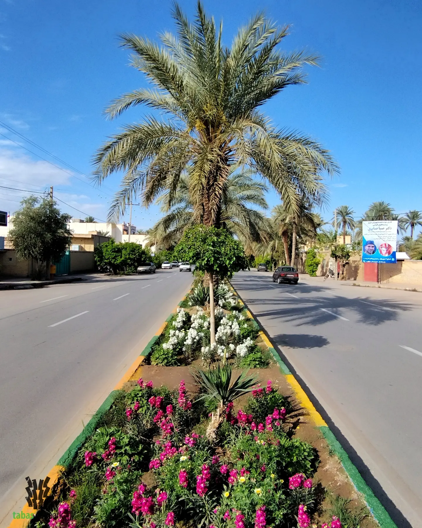 تصویر